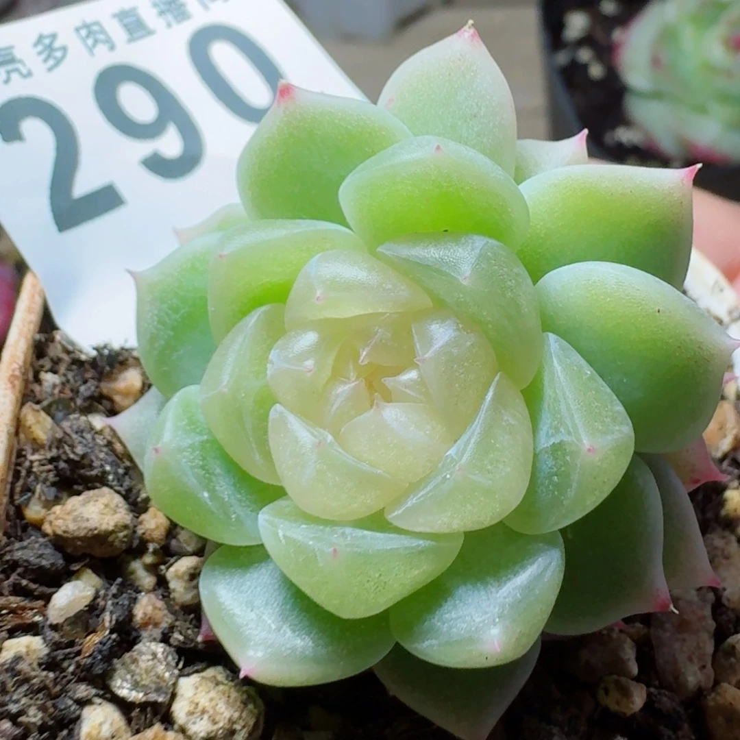 泼天财富      愿你一路坦途，乘风破浪展宏图