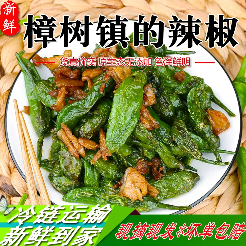 正宗湖南樟树镇的小辣椒现摘新鲜富晒食用薄皮嫩青线椒包邮500g