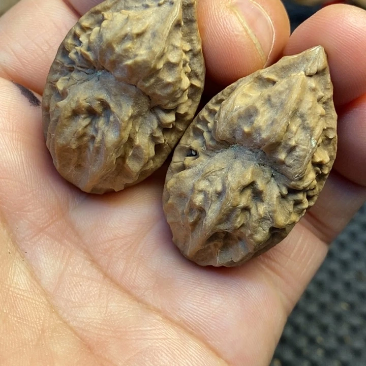 吊坠文玩核桃娜姐15