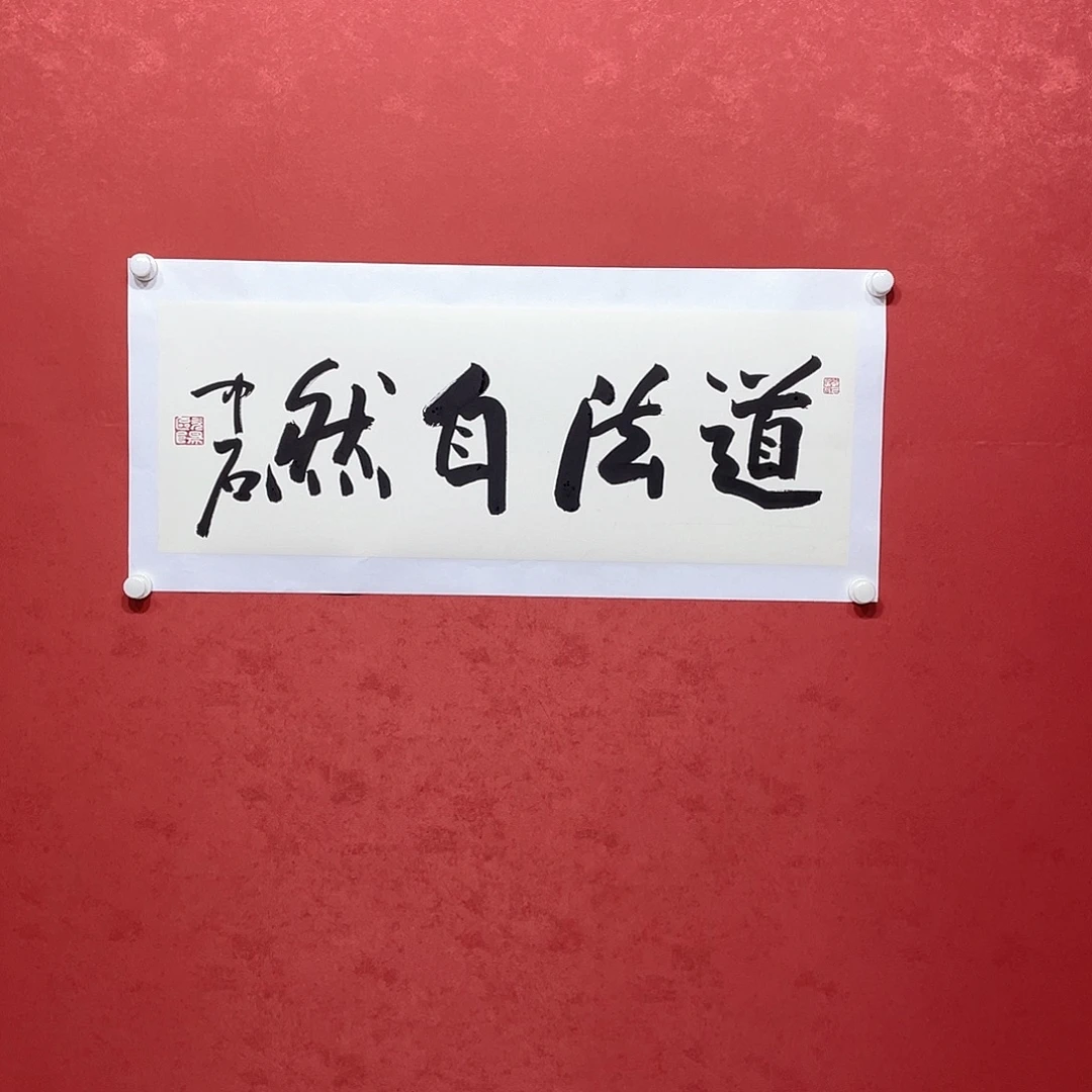 书法道法自然直播大漏