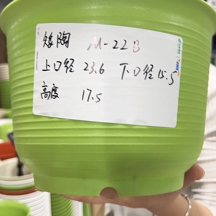 正品矮陶口24高17白色6只无托