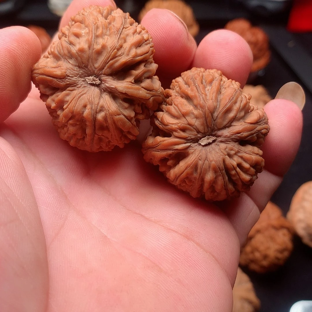 把件文玩核桃李*核桃
