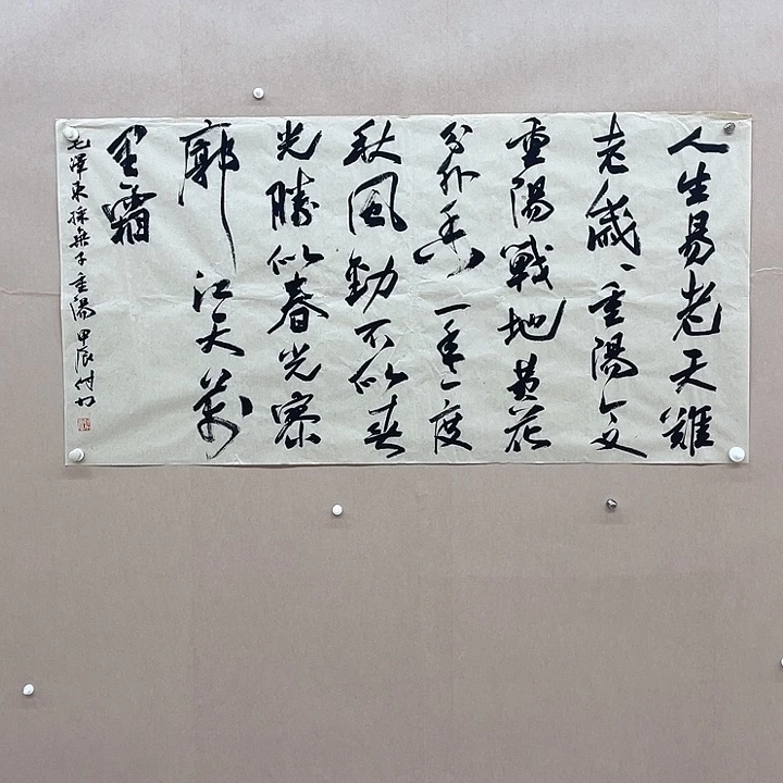 书法付力138*68㎝湖南***十三届届