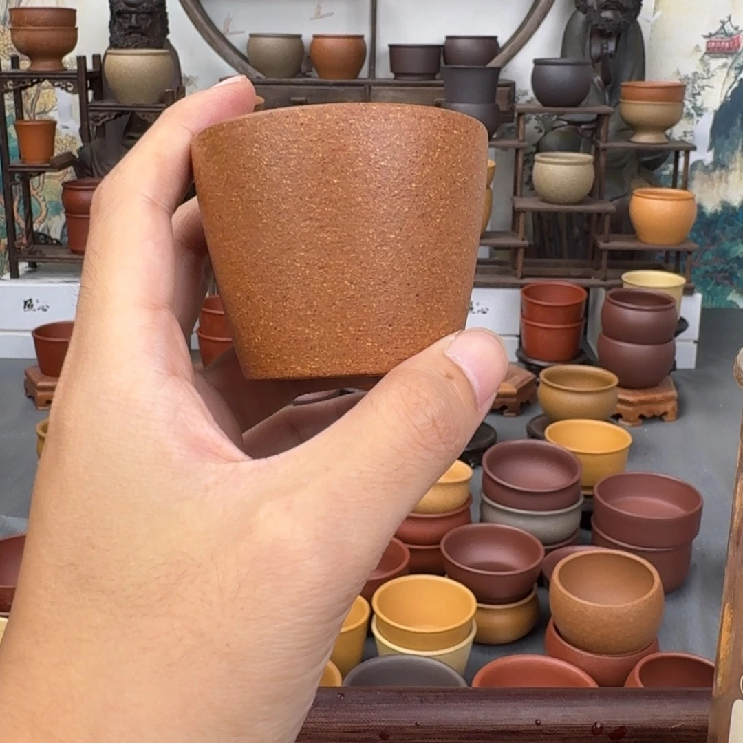 茶杯紫砂55552546553445