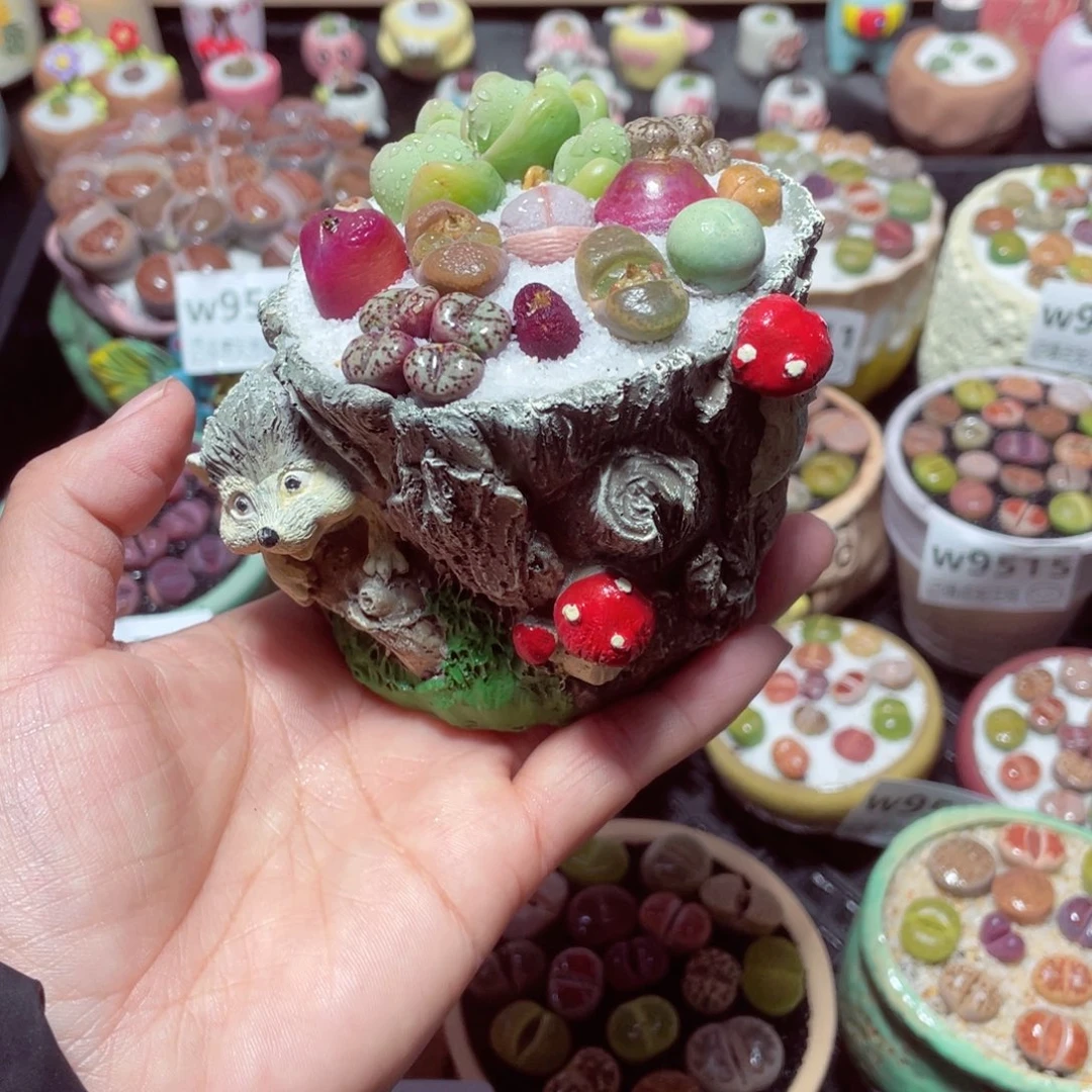 w9522 带盆土发货-零下地区拍保温箱