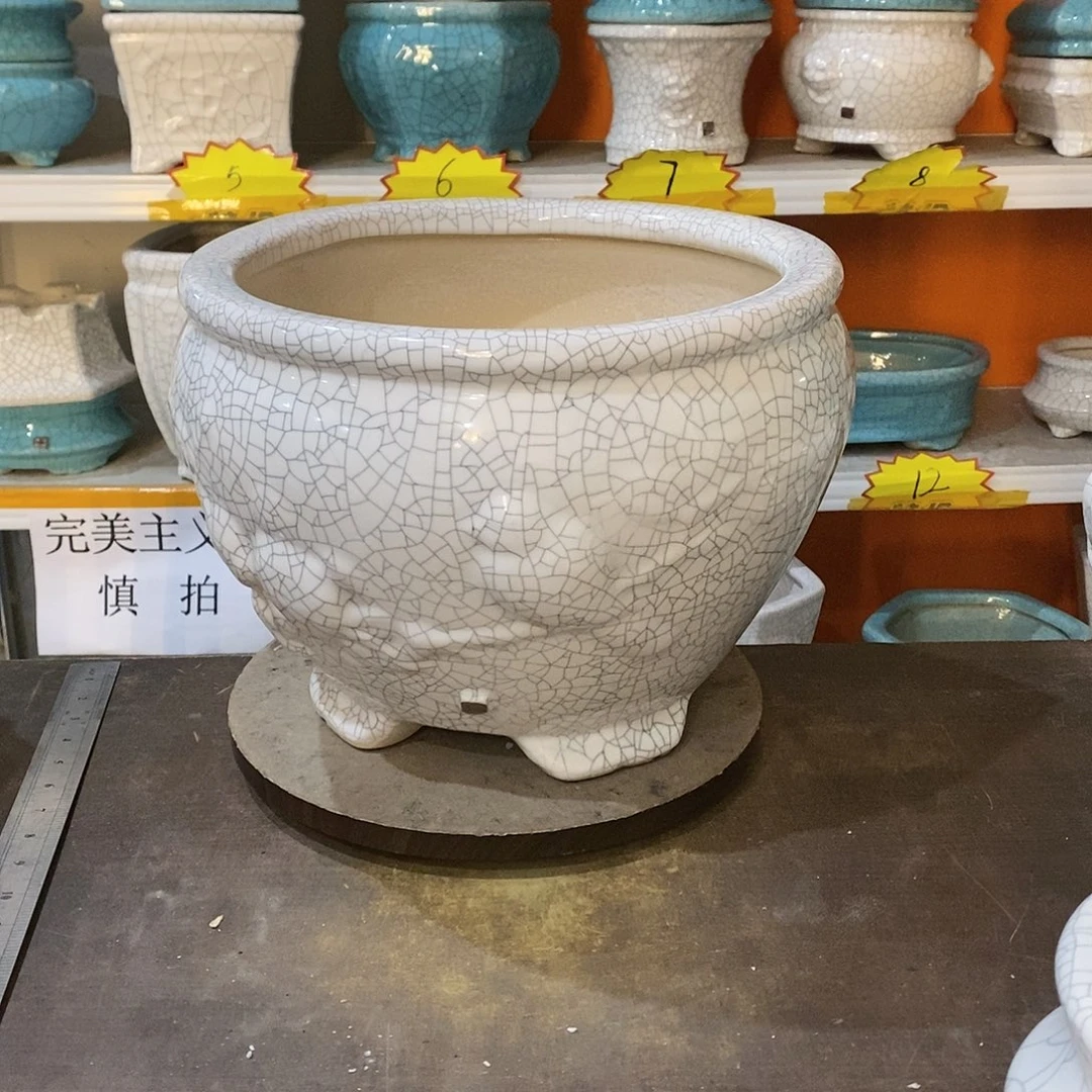 S***P瑕疵花盆花盆里放