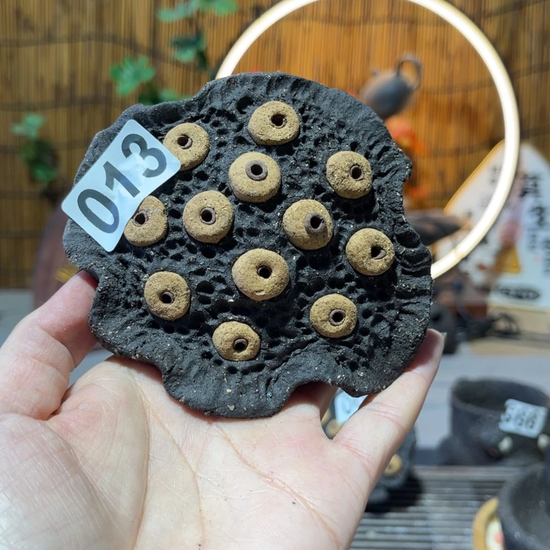 木村信弘柴烧保平