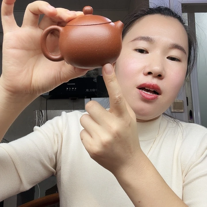 紫砂茶壶原矿半手工降坡西施160cc