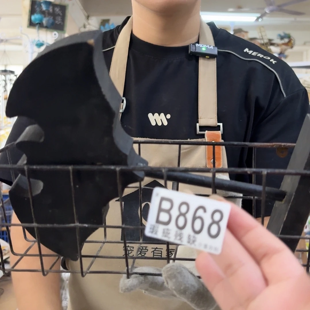 核桃木/黑胡桃（胡桃木）