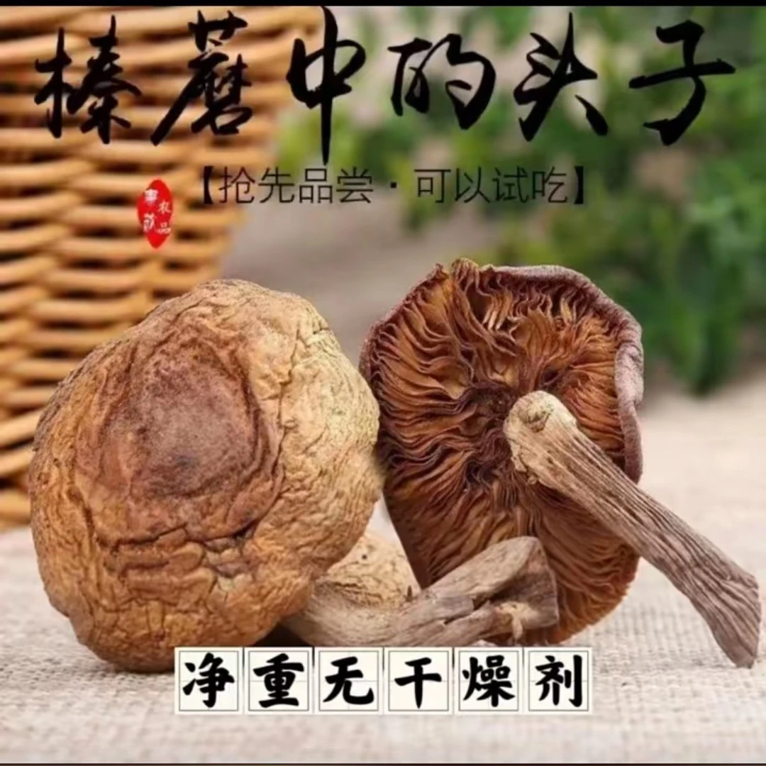 野生棒蘑，干蘑菇，自然晒干
