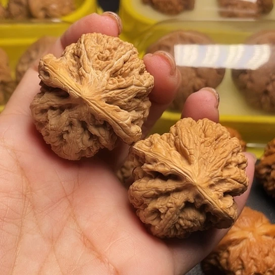 大*猫文玩核桃原装粗筋