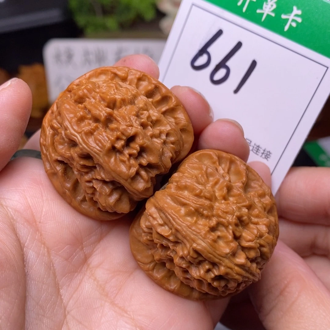 把件文玩核桃661白狮子3.9