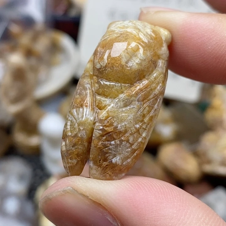 硅化珊瑚（珊瑚玉）未镶嵌颈饰小