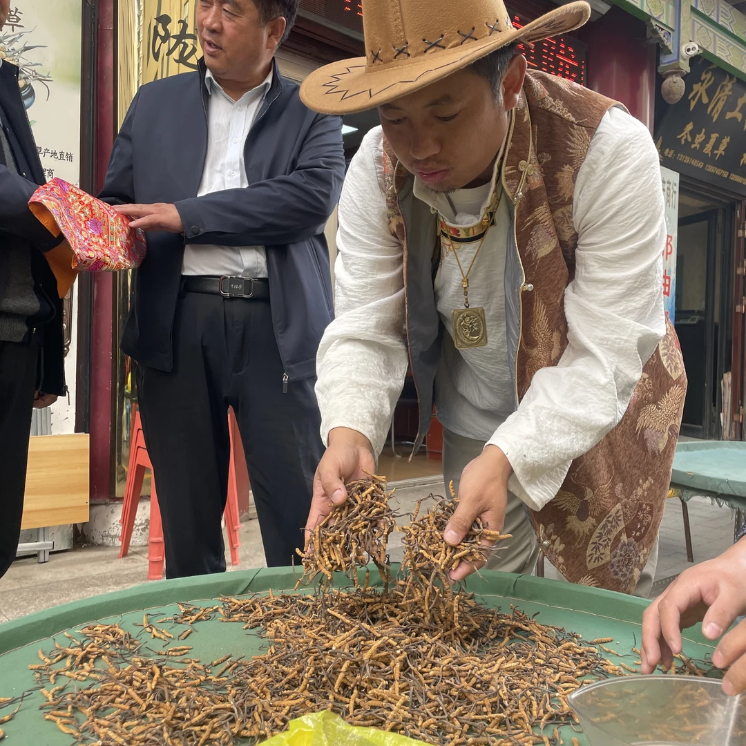 （源头现场收草）精品整根100根2025年新货冬虫夏草现场收现场卖