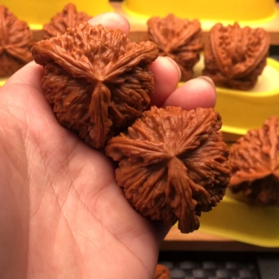 核桃核桃核桃核桃核桃吗