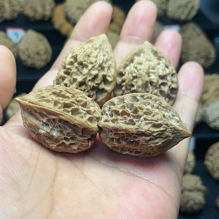 【闪购商品】文玩核桃把件小*沫核桃2对不退换