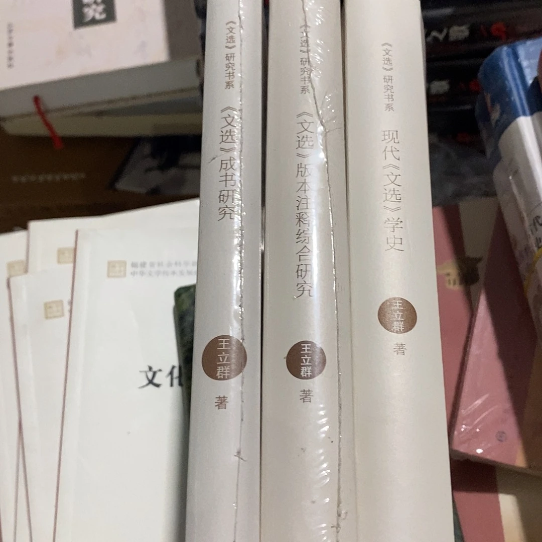王立群三本文选研究