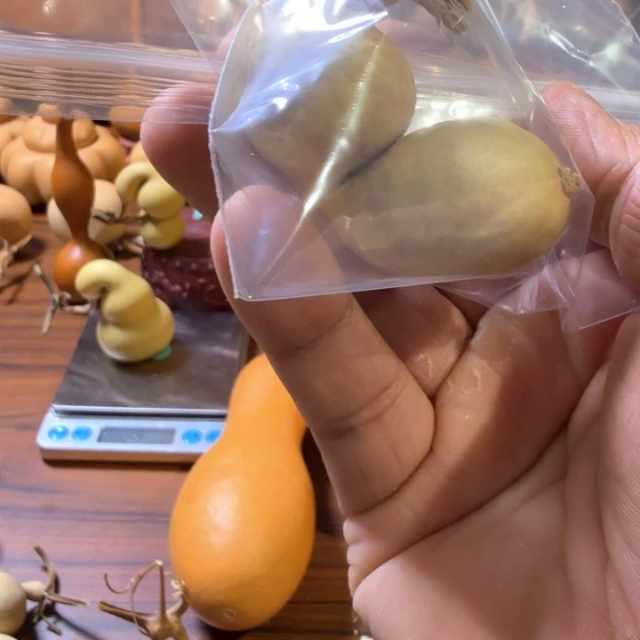 已***置葫芦1111111111111111