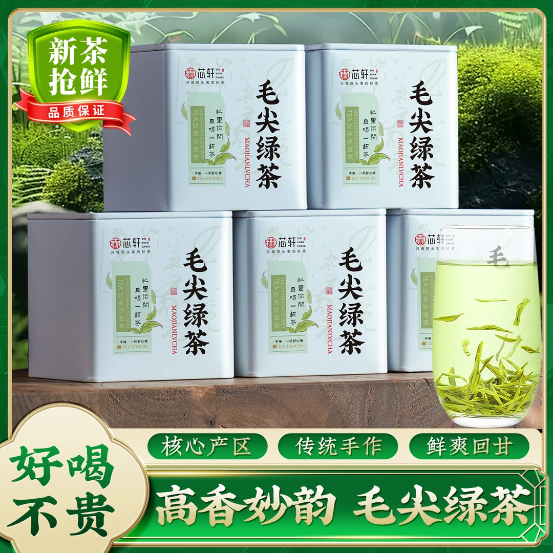毛尖绿茶新茶正宗高山手工毛尖茶浓香板栗香嫩芽茶叶罐装自己喝