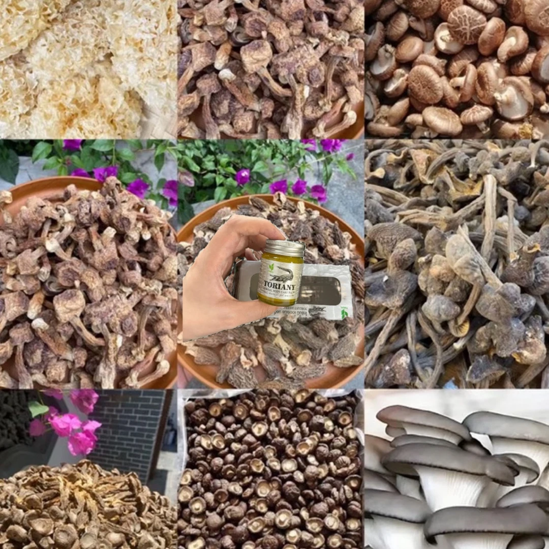 【中缅越边境】鱼萼 鱼膏“芭芭膏”——30g初级农产品 ·野生香菇