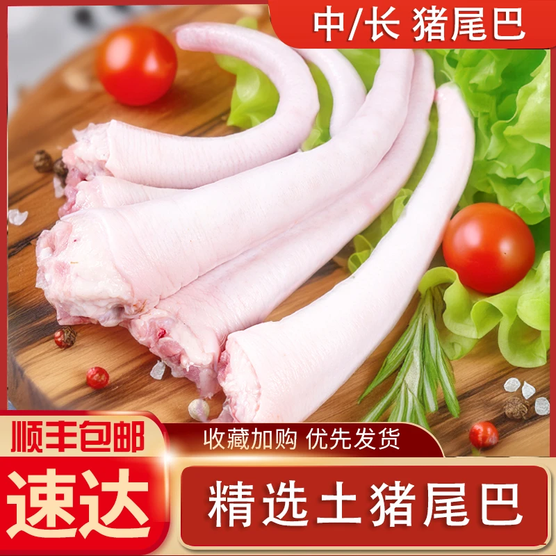 新鲜猪尾巴长猪尾黑猪尾短猪尾新鲜现杀红烧卤味煲汤干净无毛