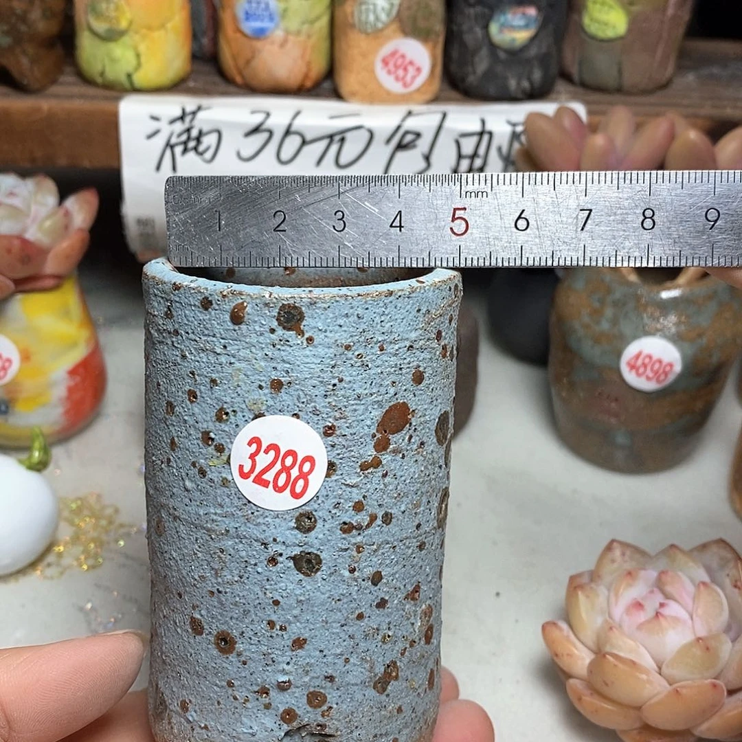 红陶拍5送一个小