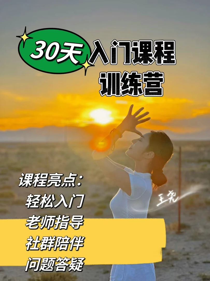 王尧入门训练营成长课程