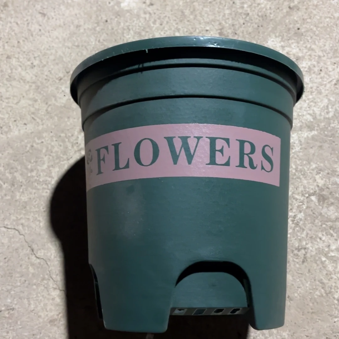 新绿控根盆22✖️22发10个