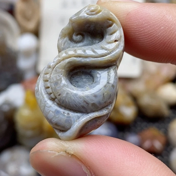 硅化珊瑚（珊瑚玉）未镶嵌颈饰