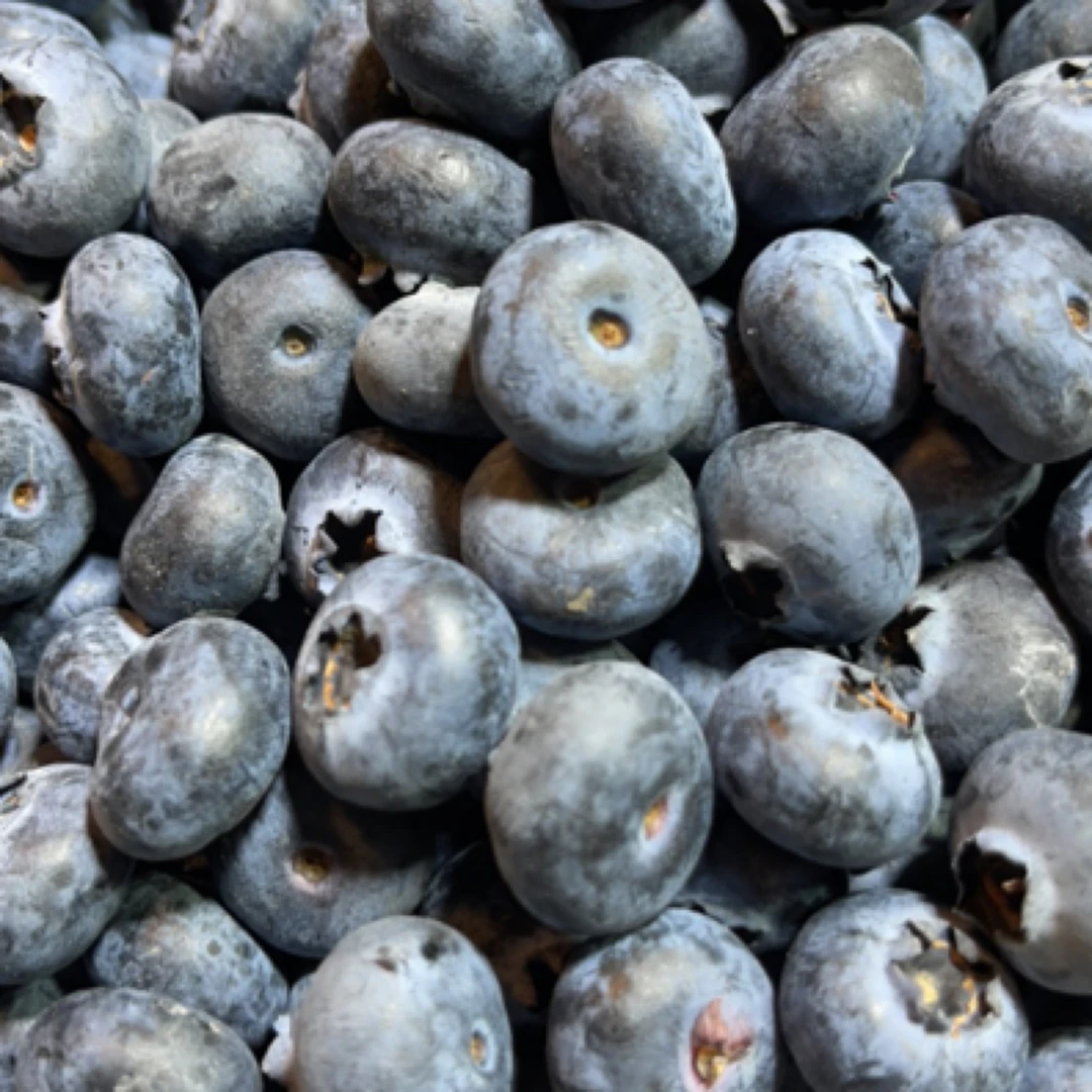 甜蓝莓，脆蓝莓，中个蓝莓245克