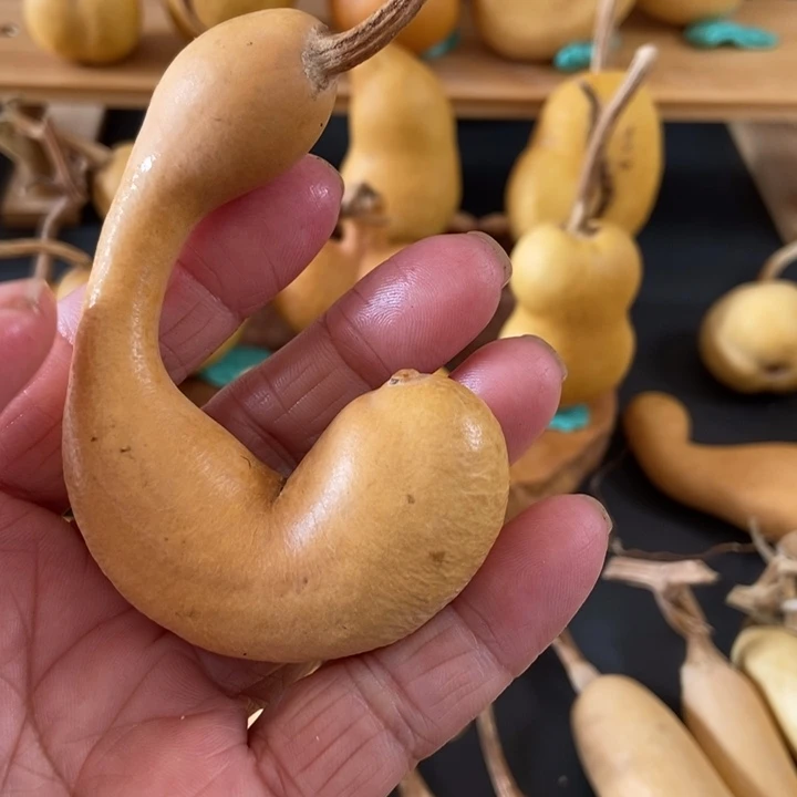 S****tdgjitrsxgjuujh