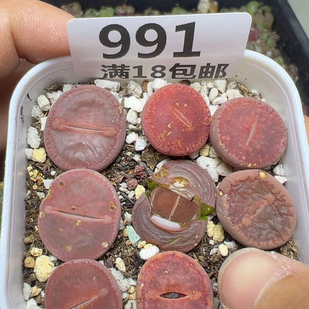 【闪购商品】991……