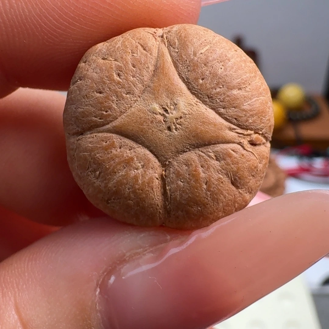 东***配凤眼菩提吊坠麒麟