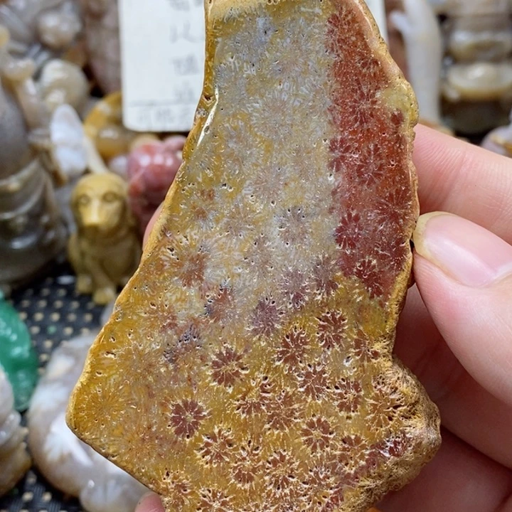 硅化珊瑚（珊瑚玉）颈饰未镶嵌@*