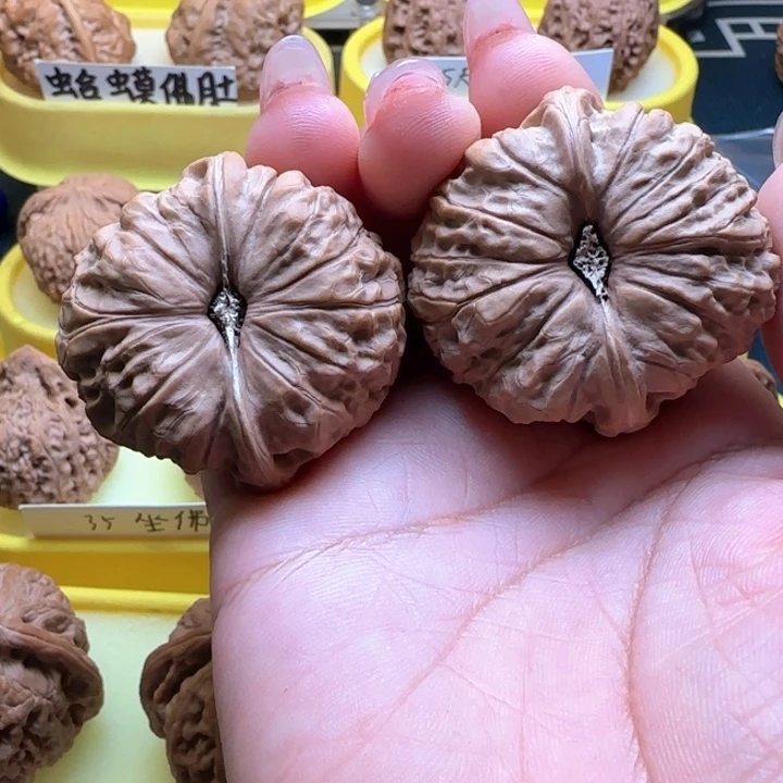 流***爺汪汪核桃四无耻南瓜闻闻核桃