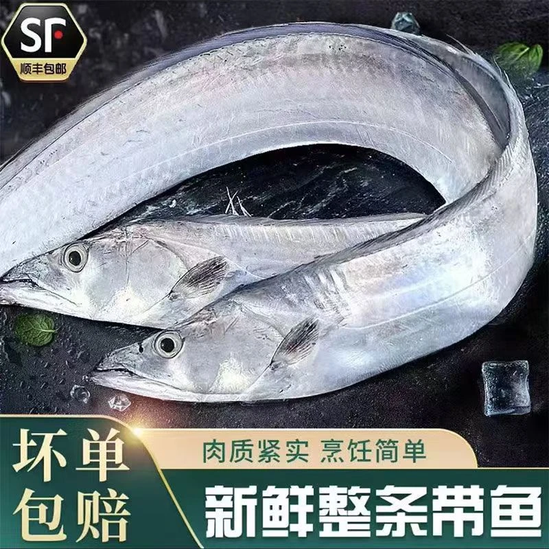整条带鱼舟山东海小眼睛带鱼整条新鲜冷冻冰冻刀鱼鲜活海鲜发顺丰