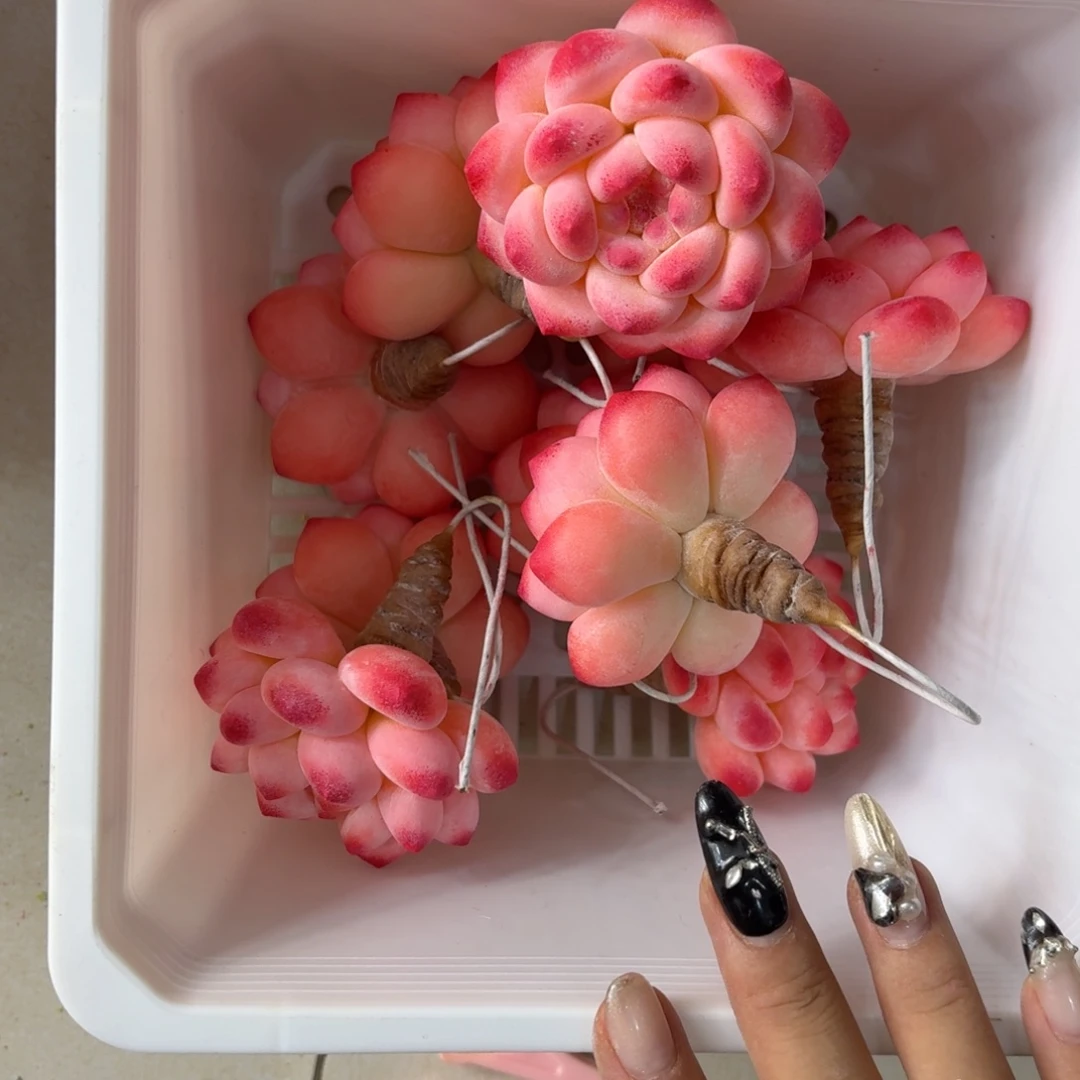 树脂制品12噢噢噢哦哦