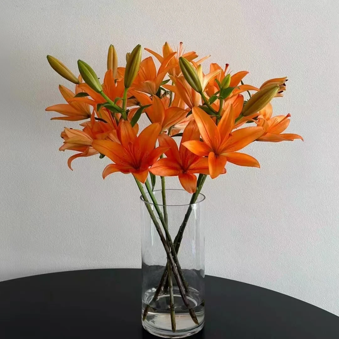 9朵-橙亚百合3枝-次日达全场2单顺丰包邮到您家，鲜花家居花