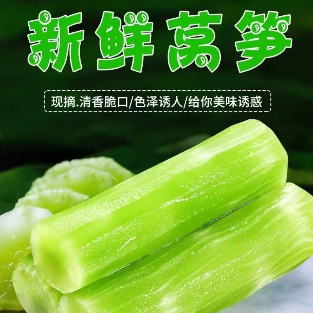 《乡村文自营品》红叶香莴苣2.5-5斤包邮