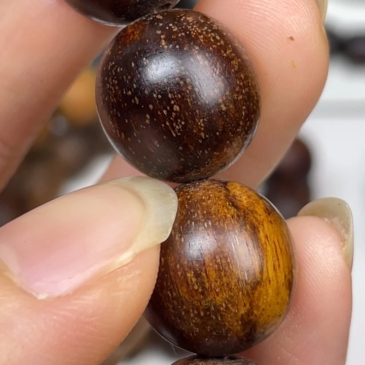 贡木其他小椭圆的