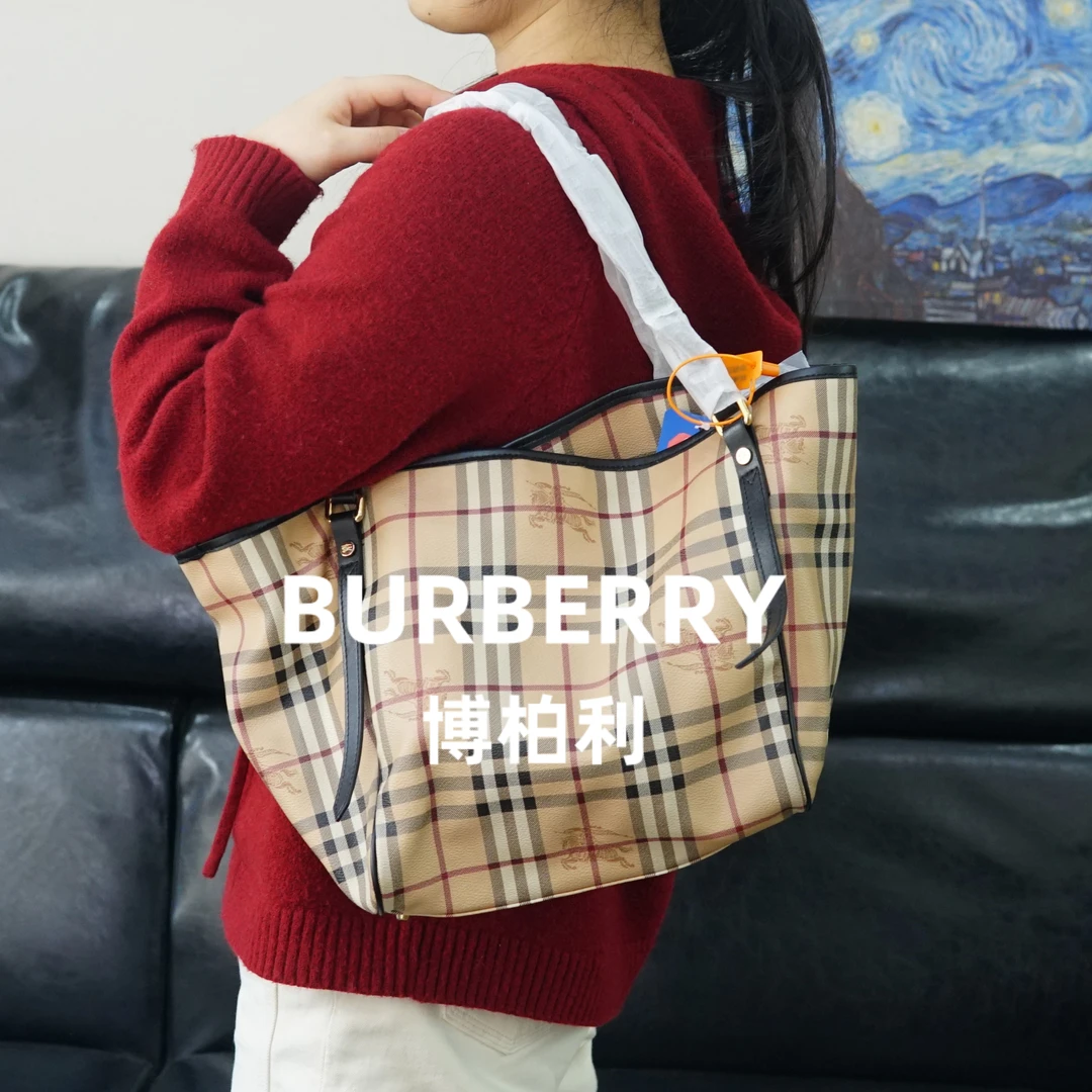 95新 BURBERRY/博柏利 巴宝莉/战马格纹单肩包/AR03610503/0503