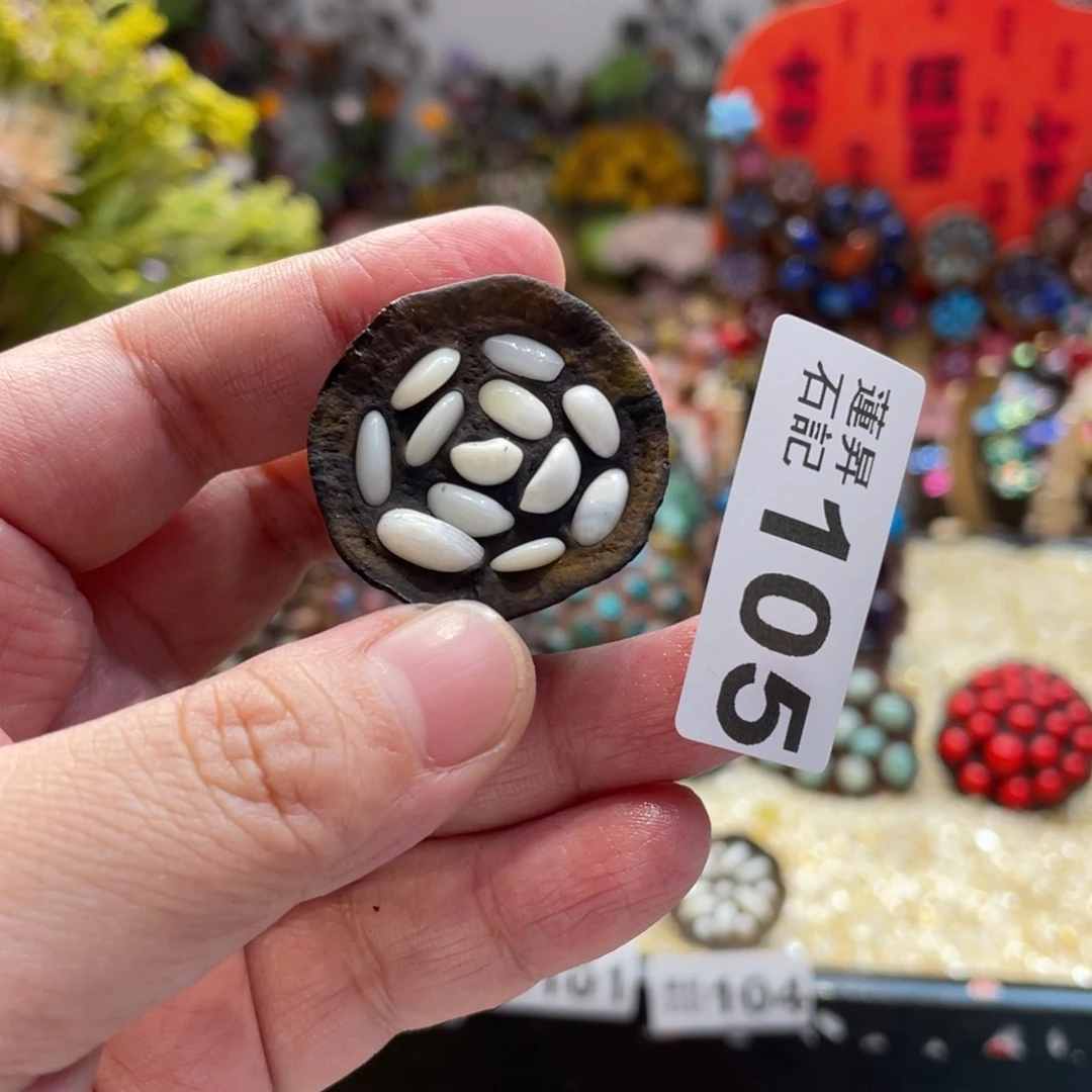 核桃木/黑胡桃（胡桃木）105