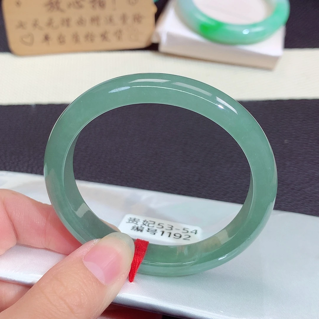 未镶嵌手镯翡翠1192
