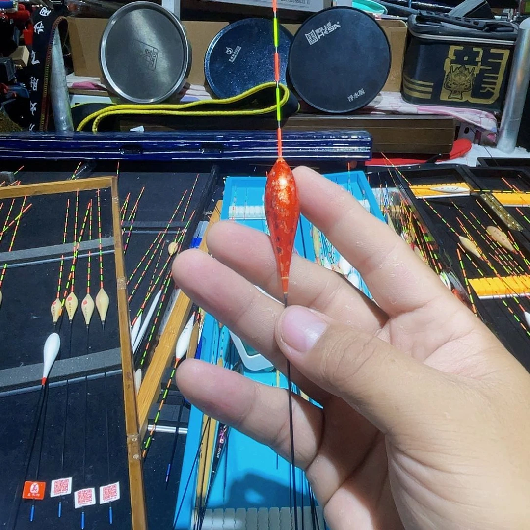 芦苇深证小金幻彩芦苇1号