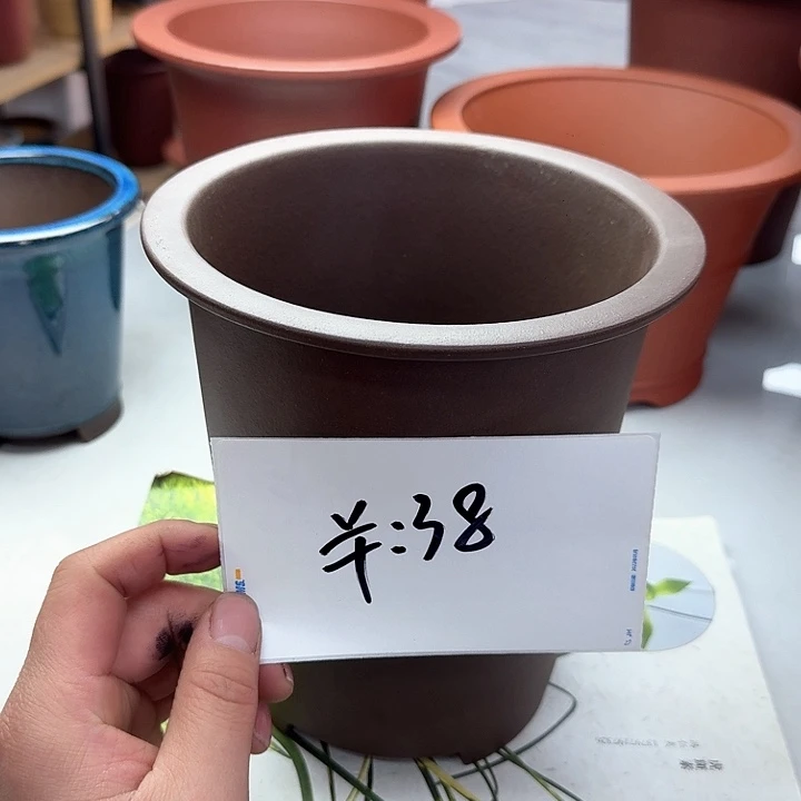 紫砂122222222222222222