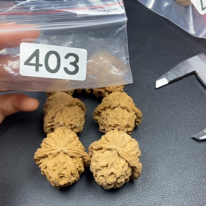 手串/手链核桃白狮子3对有瑕