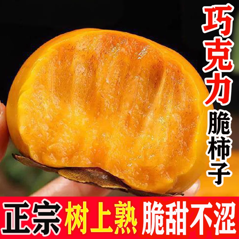 正宗阳丰巧克力冰糖心甜脆柿子当季新鲜水果3/5/8生吃脆甜不涩