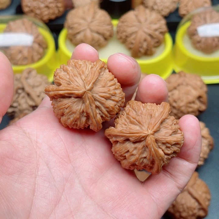 文玩核桃吊坠白狮子三棱38×37×37