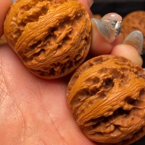 文玩核桃把件秦嶺山脈核桃