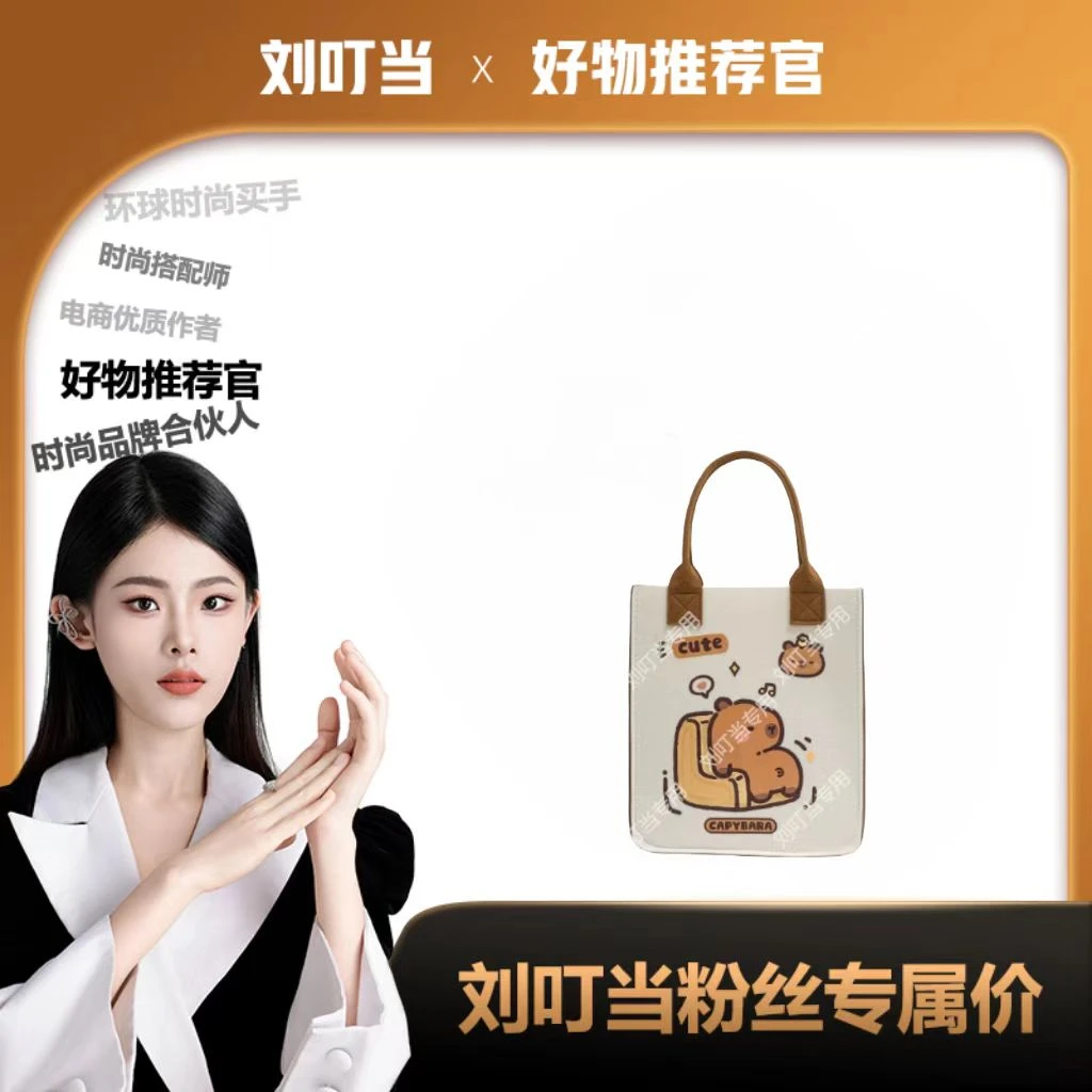 【刘叮当甄选】卡通印花手提袋卡皮巴拉毛毡包书包饭盒手提包手包